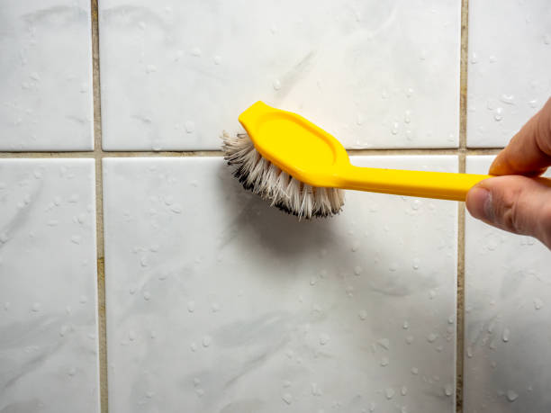Best Affordable Mold Removal  in Freeport, FL