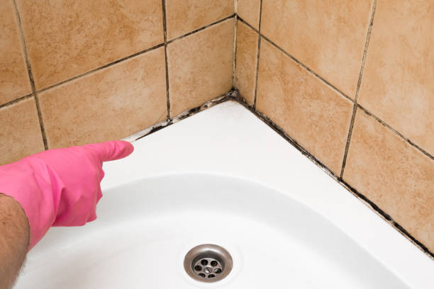 Best Crawl Space Mold Removal  in Freeport, FL